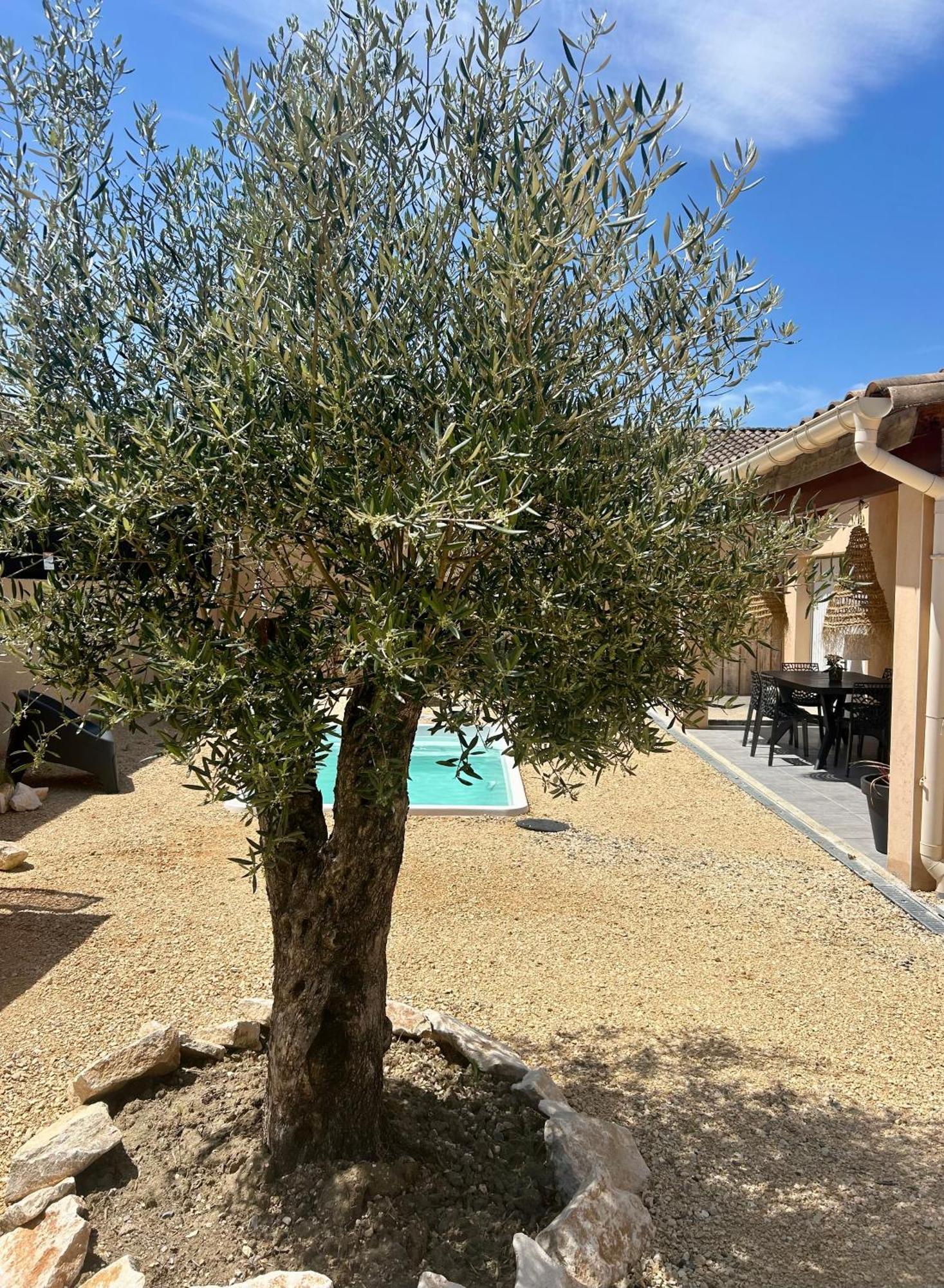 Maison Piscine & Spa Vallon Pont D'Arc Εξωτερικό φωτογραφία